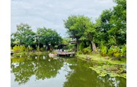 Lễ hội sông nước TP Hồ Chí Minh: Cơ hội cho các doanh nghiệp lữ hành giới thiệu các sản phẩm du lịch
