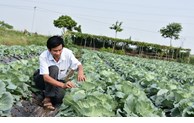 Hơn 48.000 lượt hộ nông dân huyện Tiên Du đạt danh hiệu “Sản xuất kinh doanh giỏi” 