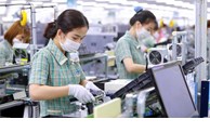 Chỉ số sản xuất ngành công nghiệp chế biến chế tạo giảm tới 19,15%