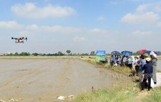 Yên Phong: Hỗ trợ 50 ha sản xuất lúa ứng dụng máy bay không người lái