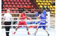 Thể thao Bắc Ninh giành gần 220 huy chương tại các giải thể thao quốc gia, quốc tế