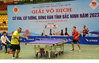 Hơn 300 vận động viên tham dự Giải vô địch Cờ vua, Cờ tướng, Bóng bàn tỉnh Bắc Ninh năm 2023