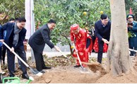 Bí thư Thành ủy Hà Nội Đinh Tiến Dũng tham dự Tết trồng cây