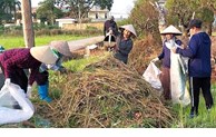 Phụ nữ tham gia xử lý rơm, rạ sau thu hoạch