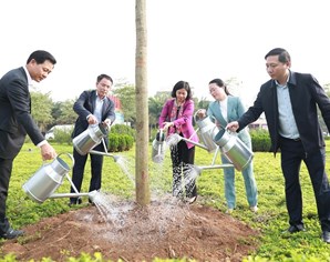 Huyện Mê Linh sẽ trồng mới khoảng 26.000 cây xanh trong năm 2024